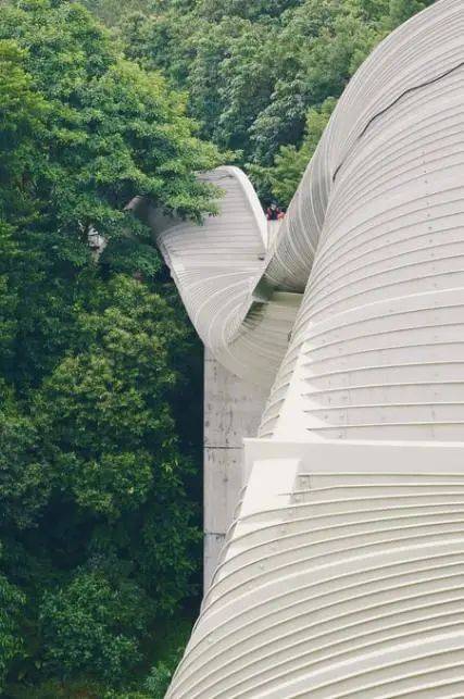 新加坡開放簽證！免隔離！這些小衆景點不可錯過