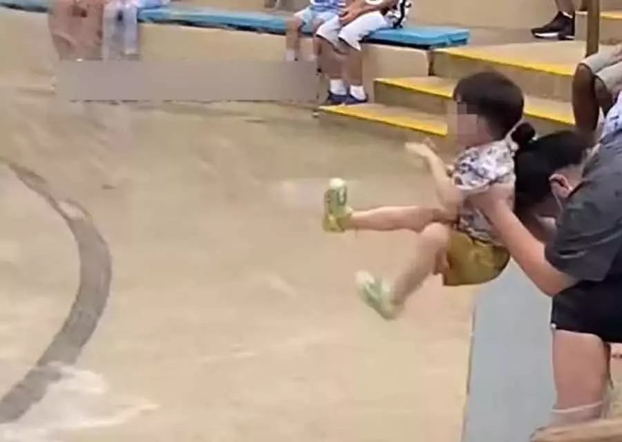 海狮表演水花四溅 母拿儿挡水引热议 