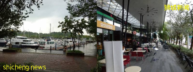 新加坡旅游区餐厨垃圾现场处理