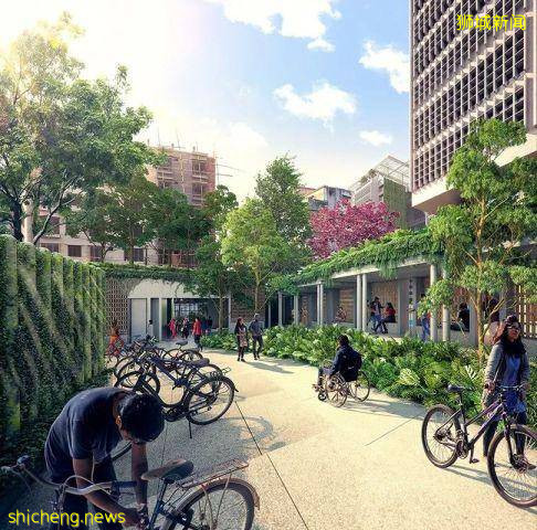 三十个新加坡冷知识，你确定都知道吗