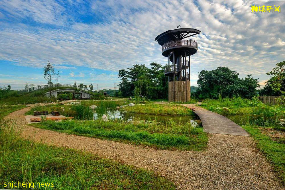周末帶娃去徒步!10米高木塔、農場、木棧道,湖天一色好美