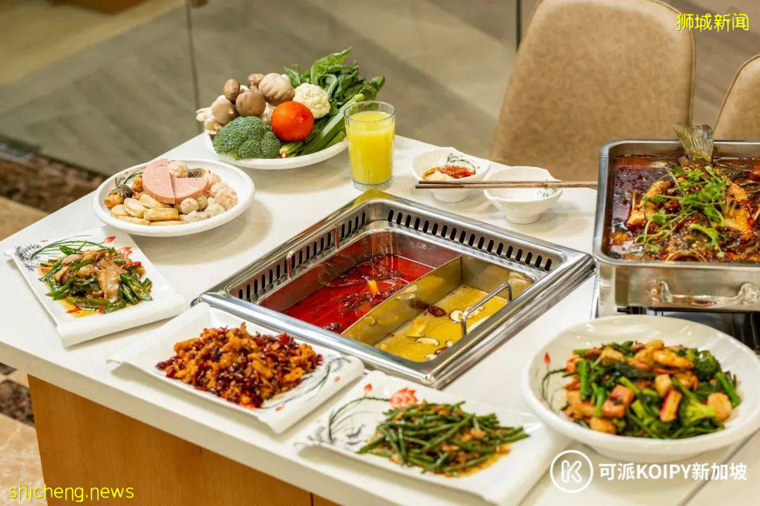 维也纳自助餐新开分店,锦鲤自助火锅火爆上线