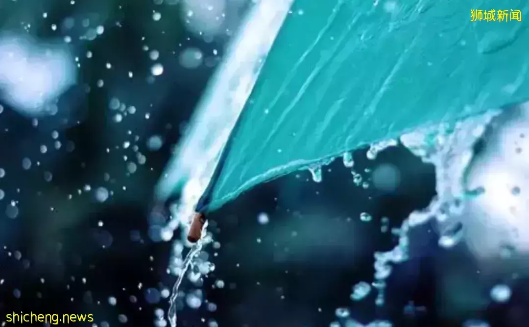 “顺手牵伞”！新加坡居然还有这样没有素质的家伙