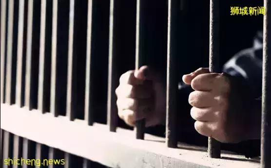 三名中国商人联合起诉!有人花10万新币,也没拿到新加坡PR