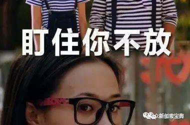 移民新加坡的小伙伴们,这些生活的小细节你都有注意到吗