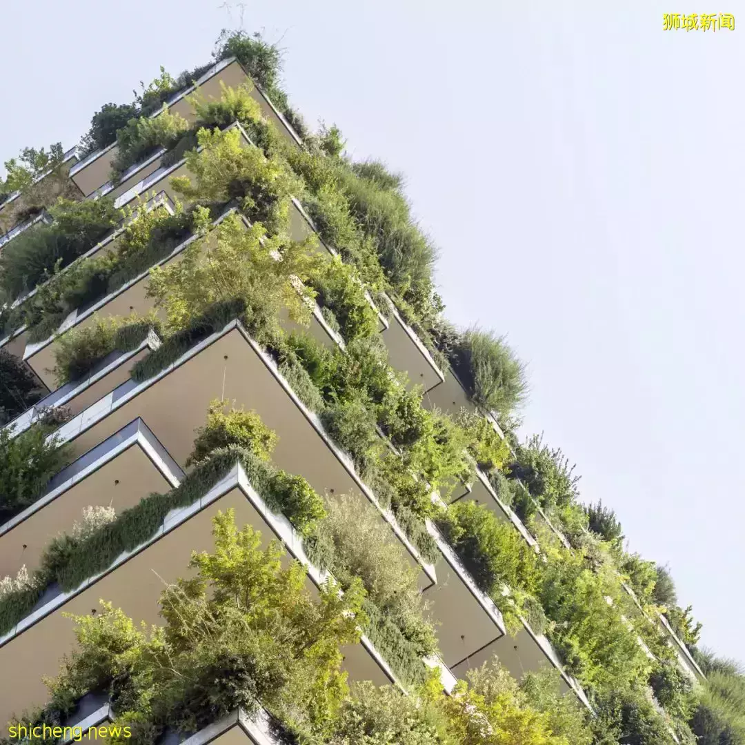 新加坡 中國高淨值人士喜歡購置哪幾類海外房産