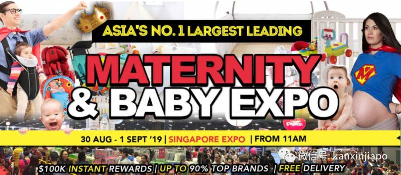 在新加坡属鼠属猪的注意了，你一定要看看这个