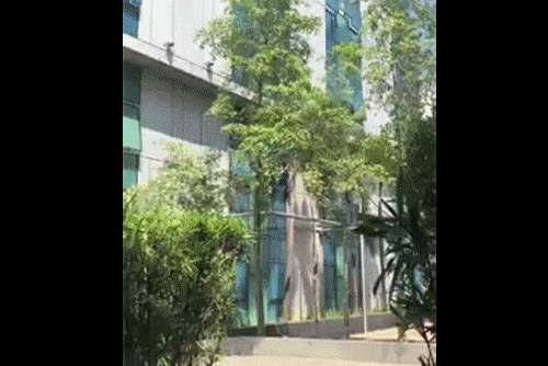 马来西亚再逮捕40名中国公民，居然“大逃”中的漏网之鱼