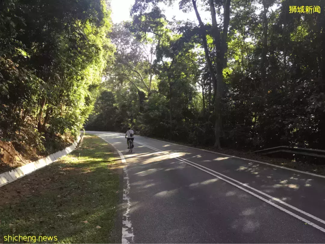 甩肉去！新加坡最美9条骑行路线