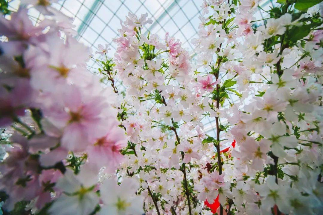 听说你周末又不知道去哪里玩了