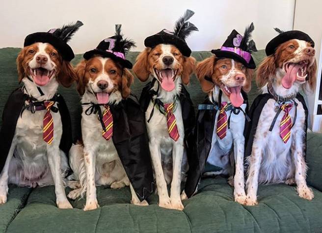 “魔法与巫术”户外逃生游戏本周六开玩,快来挑战吧