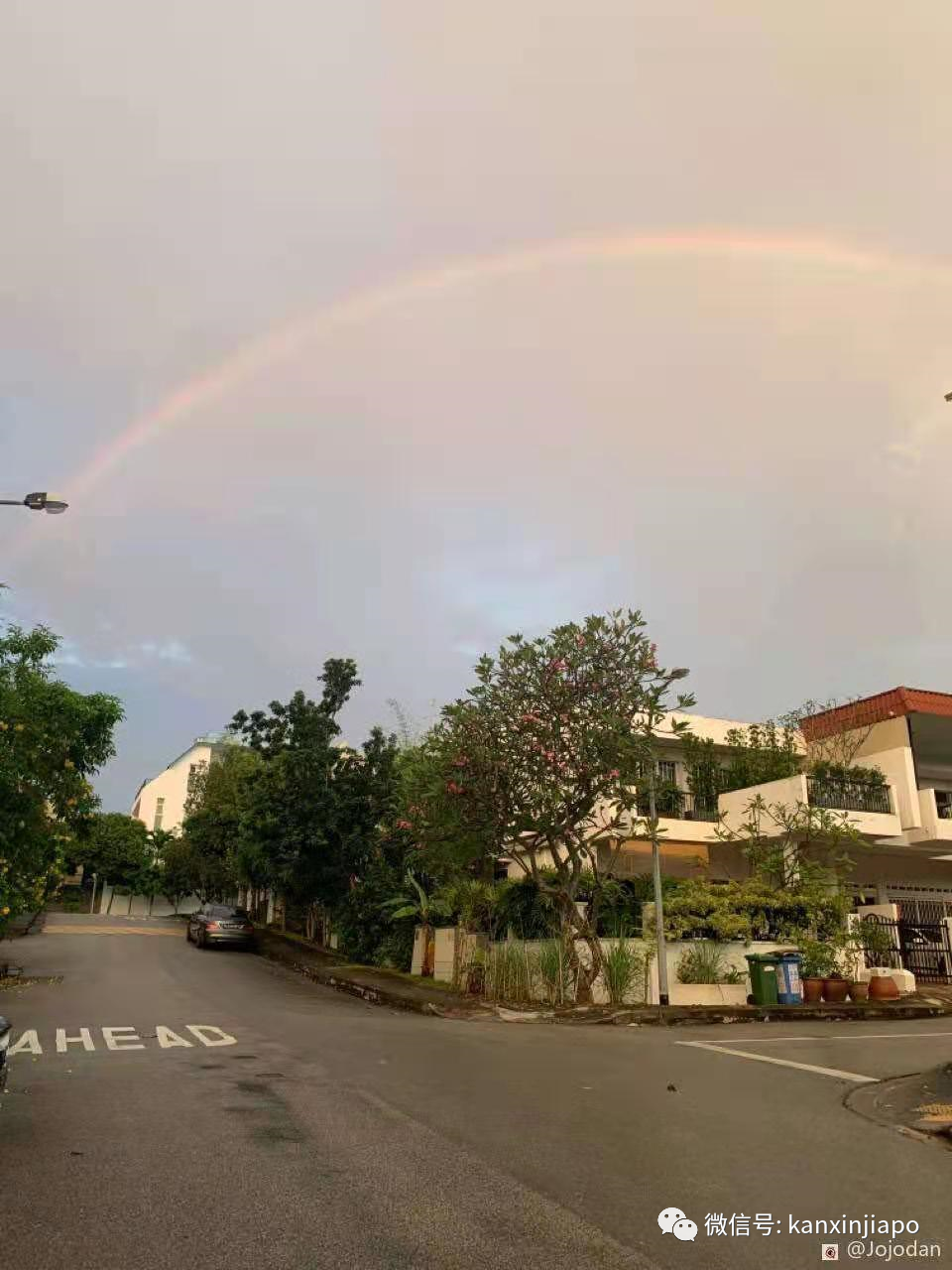 新加坡佳节祥瑞双彩虹！从副总理到外长，全岛都在拍照
