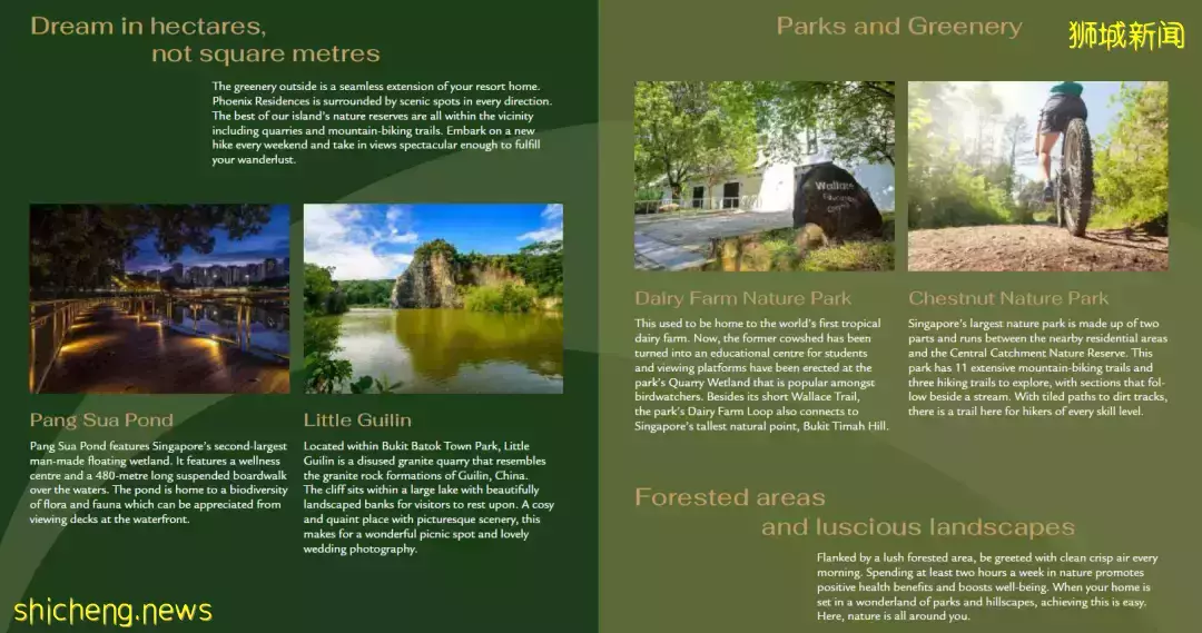 Phoenix Residences[D23區武吉班讓 低密度公寓]