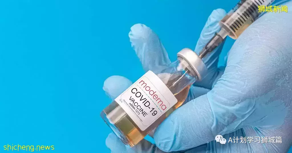 新增355起,新加坡再有三個感染奧密克戎變種毒株;意大利禁新加坡遊客入境