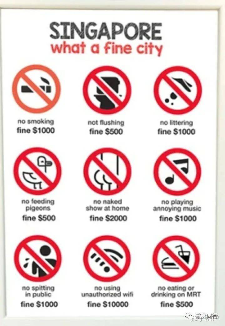 到新加坡旅游留意28条法律，避免踩雷还能省钱，破财事小，坐牢事大