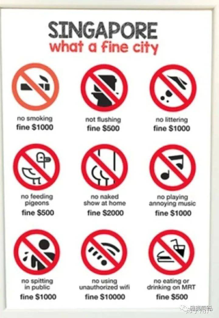 到新加坡旅遊留意28條法律，避免踩雷還能省錢，破財事小，坐牢事大