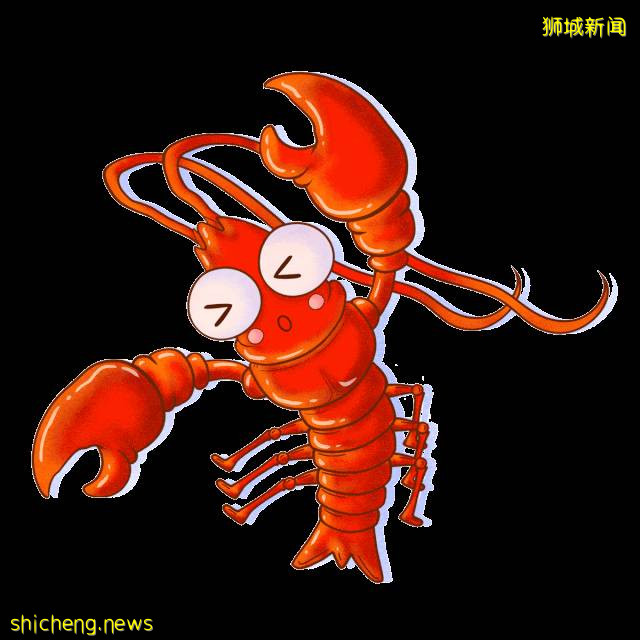 龙虾喂面燕窝鱼翅鲍鱼套餐才99元！这家靠海的海鲜馆也太好吃了吧