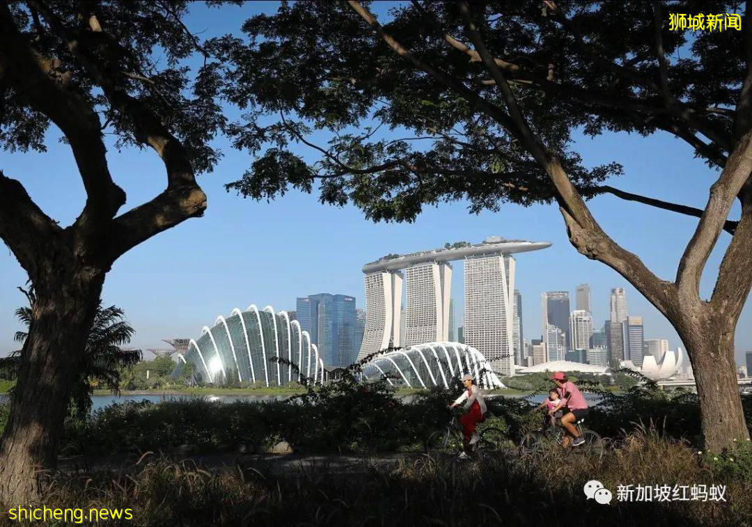 新加坡要成功“與冠病共存”　必須同時做到這三點