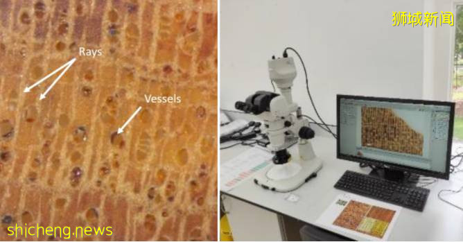 新的 K9 部門借助高科技和探測犬幫助新加坡打擊非法野生動物貿易