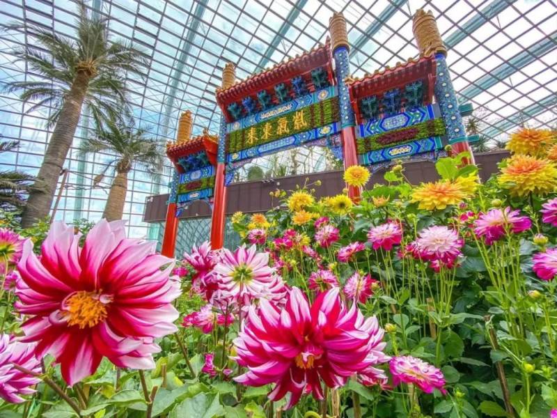 【旅游】年味儿浓活动多，春节去新加坡别错过这些景点