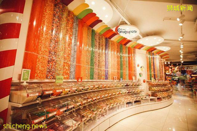 全球最大海洋館到底有多好玩!