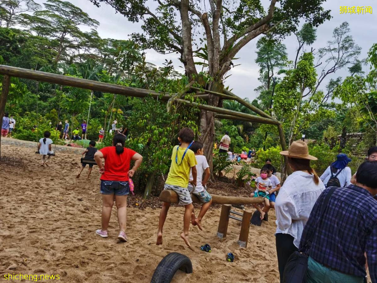叢林遊樂場、自然博物館、山路徒步……新加坡這個公園翻新後更好玩啦