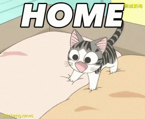 從“不差錢”到“實用主義”，新加坡高品質家居店大盤點