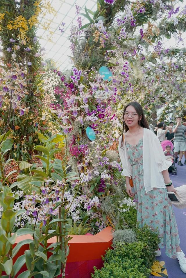 新加坡旅行|6天5晚奇遇狮城的日与夜