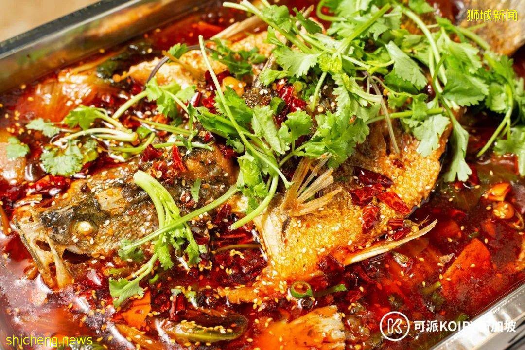 维也纳自助餐新开分店,锦鲤自助火锅火爆上线