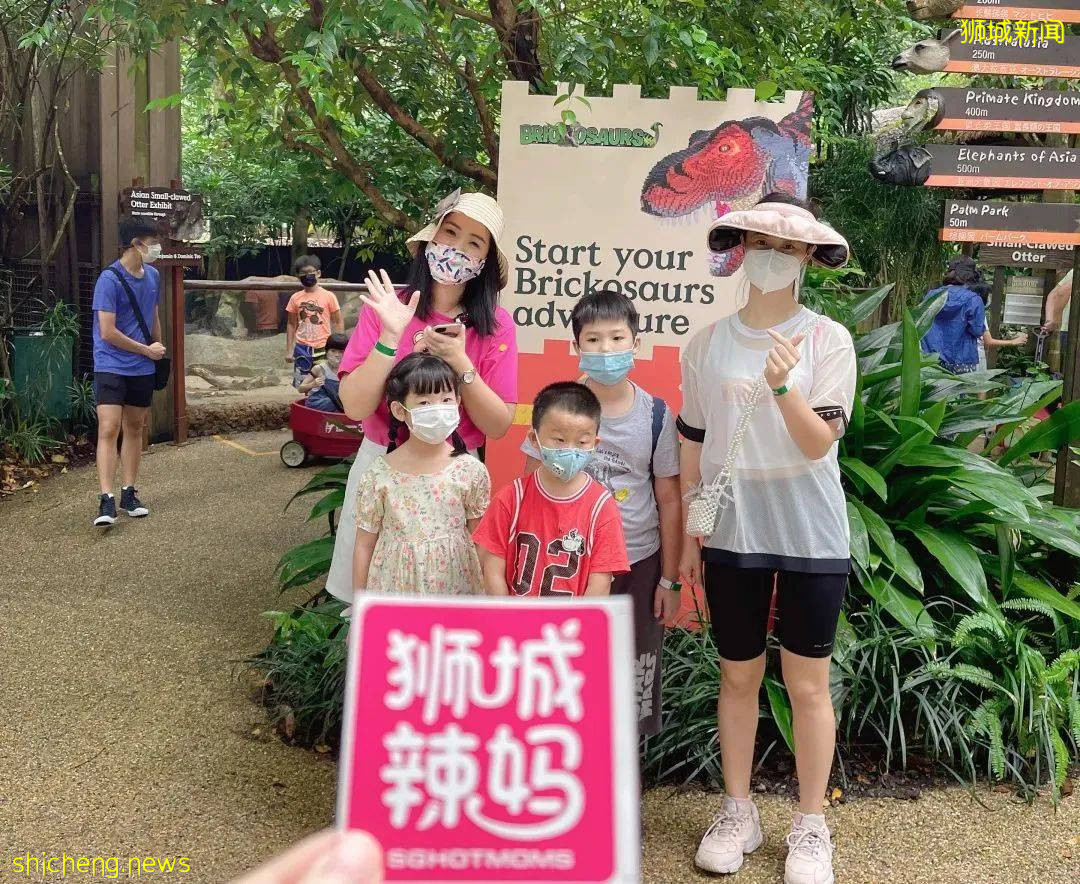 门票6折！一只恐龙有多大？亚洲首个积木恐龙世界，超过60只在新加坡动物园和河川生态园与你捉迷藏