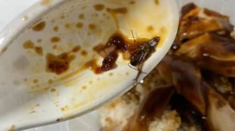 呕！新加坡小贩中心汤面里吃出整只蟑螂，外卖也中招