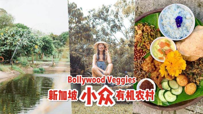 新加坡新大陸！Bollywood Veggies有機農場👩🏻‍🌾 市區外的田園風光 + 治愈寶地