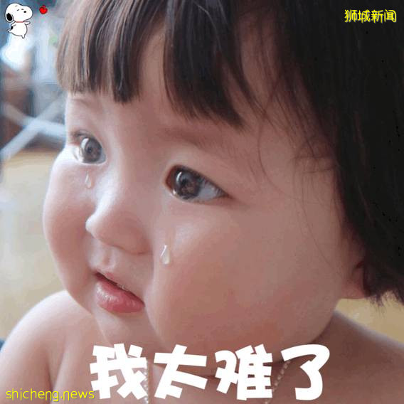 不想经历131所小学抽签!升学捷径做义工的干货来啦