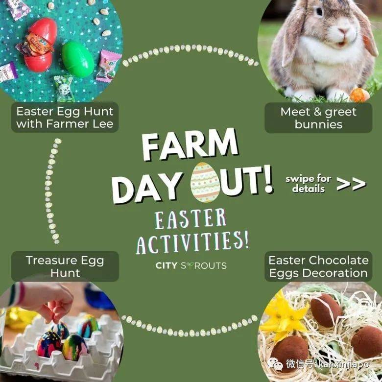 新加坡爲什麽要在今天放假?竟有這麽多小秘密