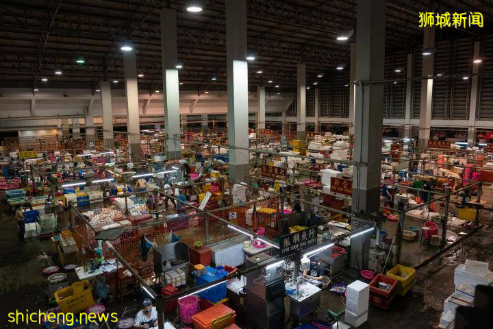 下周重開防疫措施將加強 裕廊漁港批發市場分區禁互動