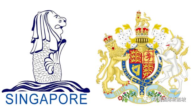 面对疫情，这两头狮子表现出截然相反的“佛系”