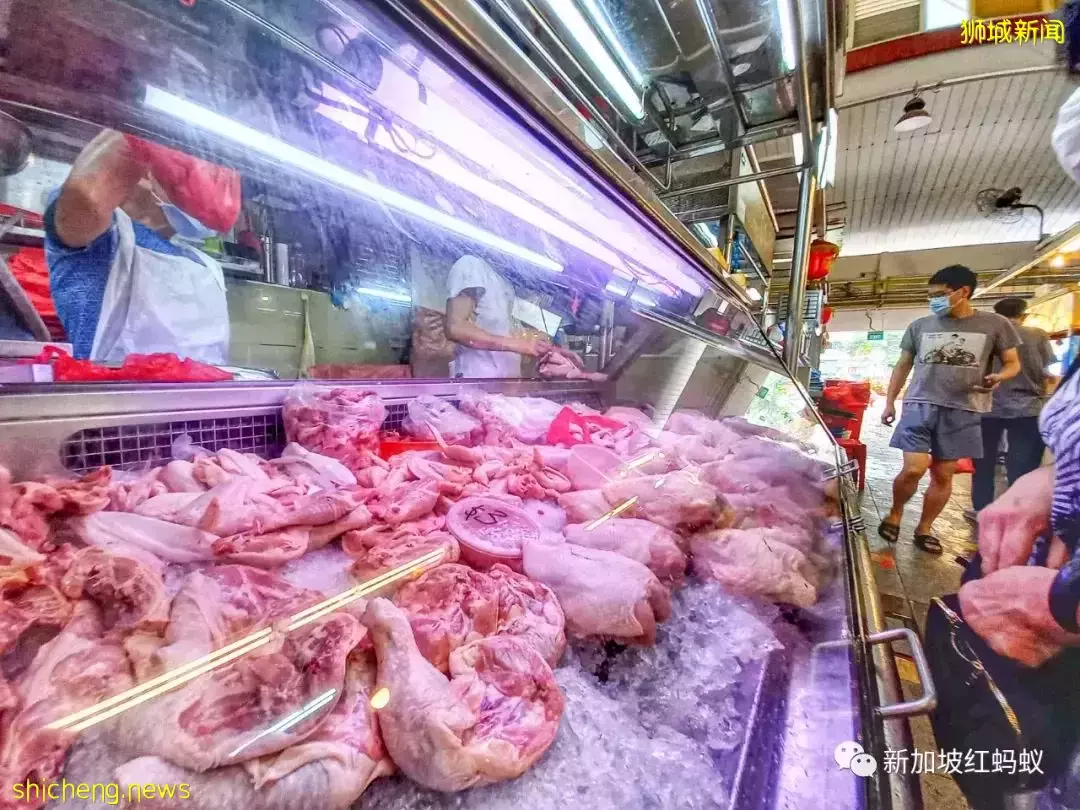 马国活鸡暂时来不了 新加坡人该如何做好准备