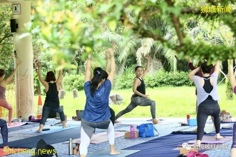 允许公众在户外摘下口罩? 新加坡传染病专家:我们还没Ready