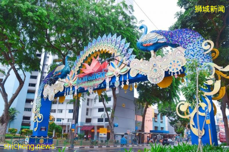 肆意迷失其中,无需路线之新加坡