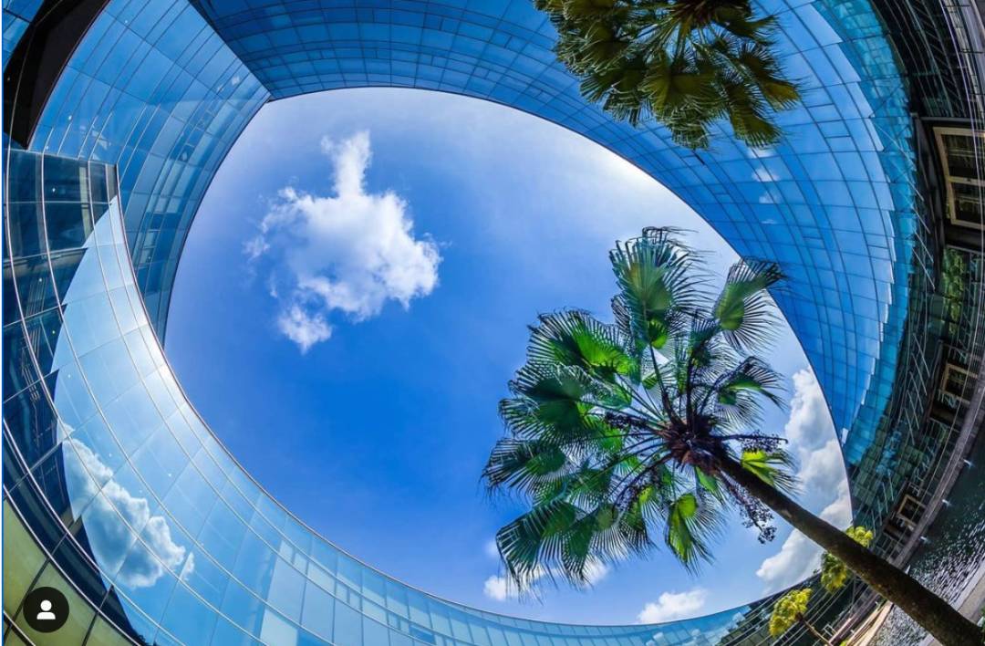 因爲這件事，新加坡變藍了