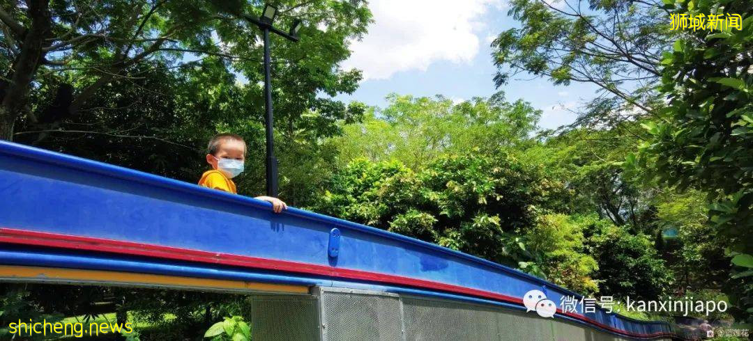 遛娃圣地海军部公园,超多大滑梯,大人孩子一起嗨