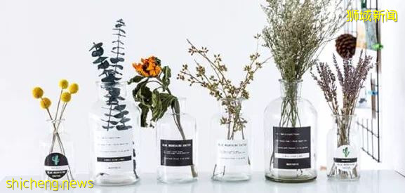 掌握这些细节，一键开启完美新加坡留学生活