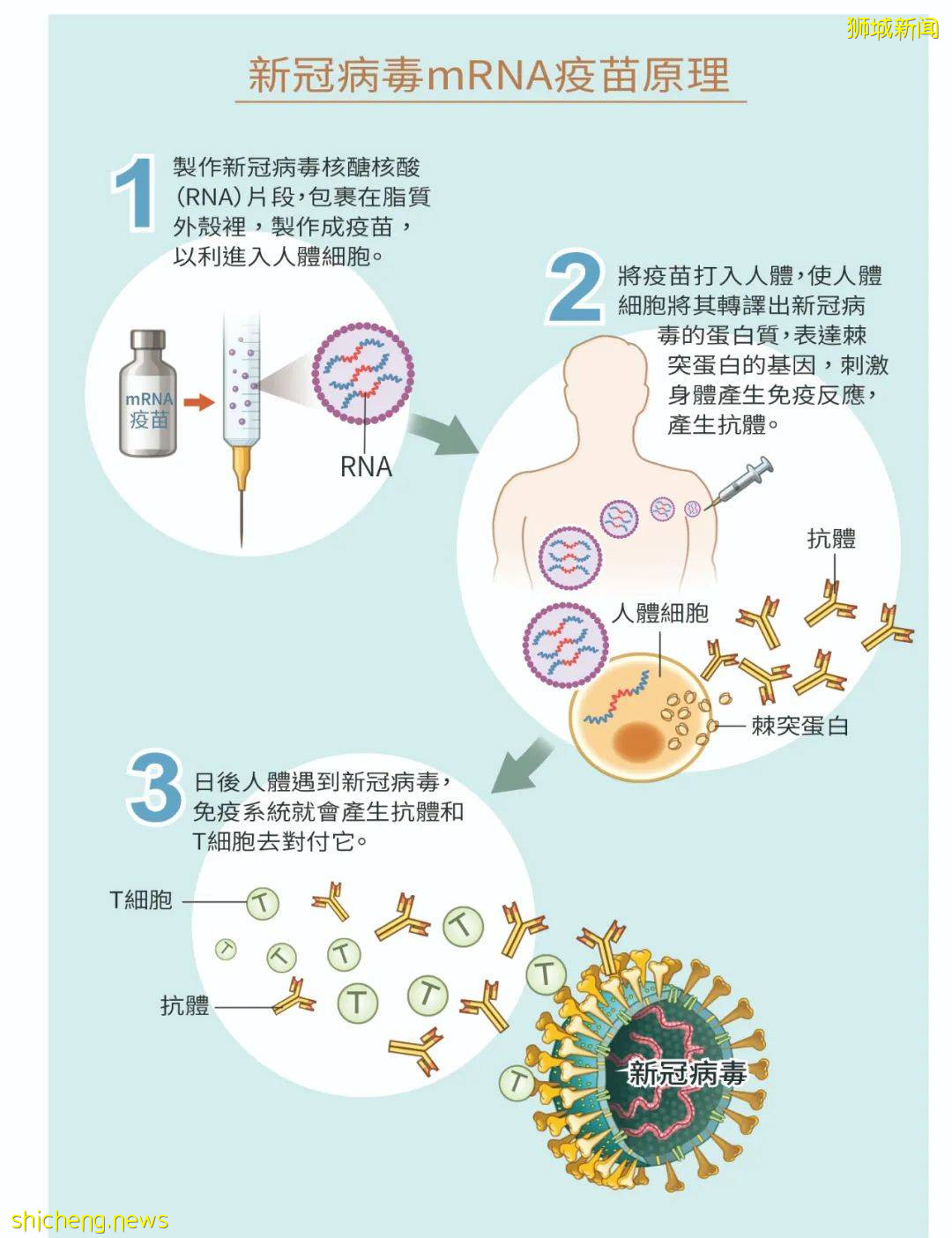 有人打完科興嫌抗體低,去補打輝瑞?官方回複來了