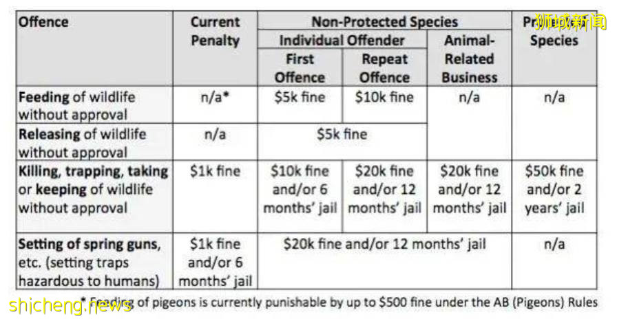 《神奇動物在哪裏之 NTU 篇》