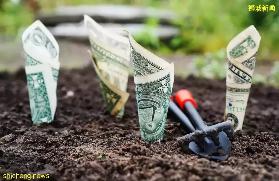 “我的新加坡整牙记:搬家、拒诊、贵……找个满意的医生好难!”