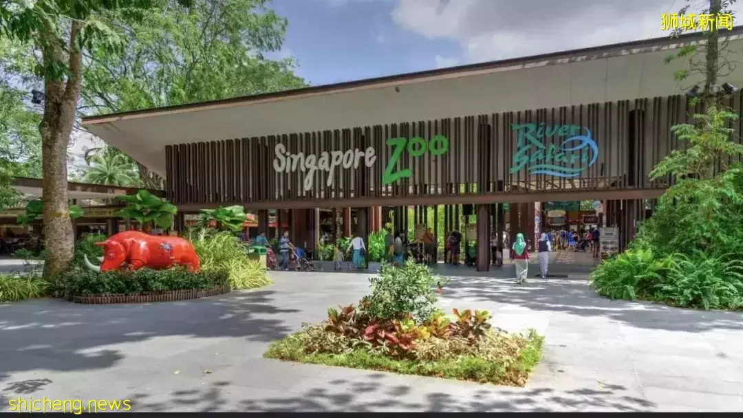 新加坡11條shuttle bus路線!直達動物園、宜家、農場、聖淘沙、醫院