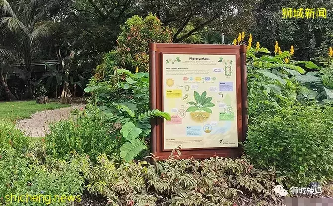 還沒安排4天長假？亞洲最大兒童花園，免費還無需預約
