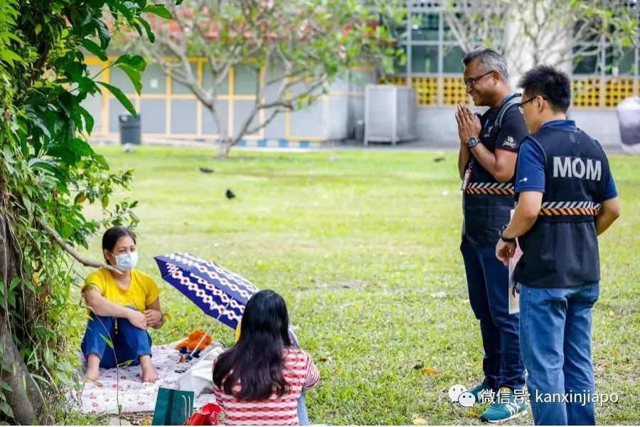 今增1例,累计X例|多家麦当劳员工感染,新加坡每个居民600新币即将到账