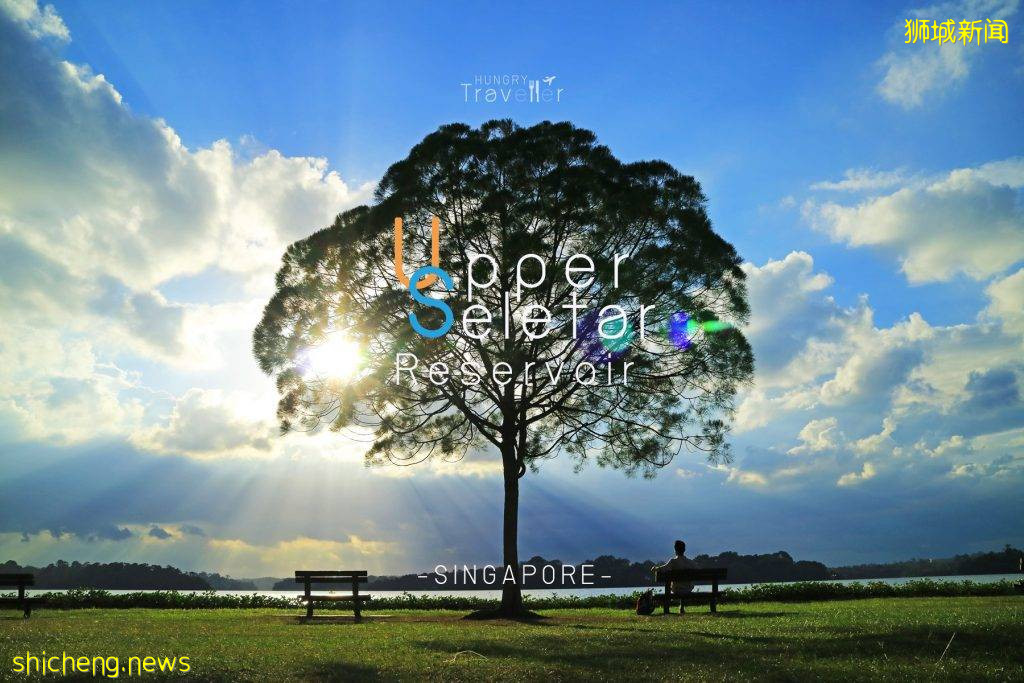 新加坡網紅樹@Upper Seletar Reservoir Park,對稱感美景,隨手一拍都是大片