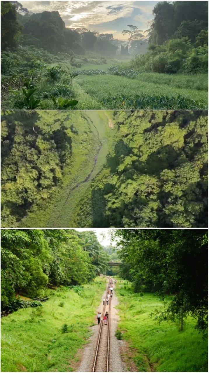 新年假期去哪里?新加坡12个小众新开景点等你来打卡